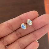 Selene - 14k Oval Cut Moonstone Studs