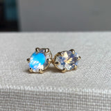 Selene - 14k Oval Cut Moonstone Studs