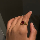 Glacé Grand - 14k Rubellite Signet Ring