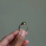 Glacé - 14k Peridot Signet Ring