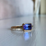 Fiona - 14k Tanzanite Ring with a Diamond Dotted Band
