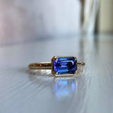 Fiona - 14k Tanzanite Ring with a Diamond Dotted Band