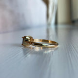 Fiona - 14k Tanzanite Ring with a Diamond Dotted Band