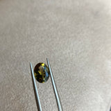 1.58 ct Mossy Green Tourmaline