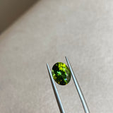 2.22 ct Green Tourmaline