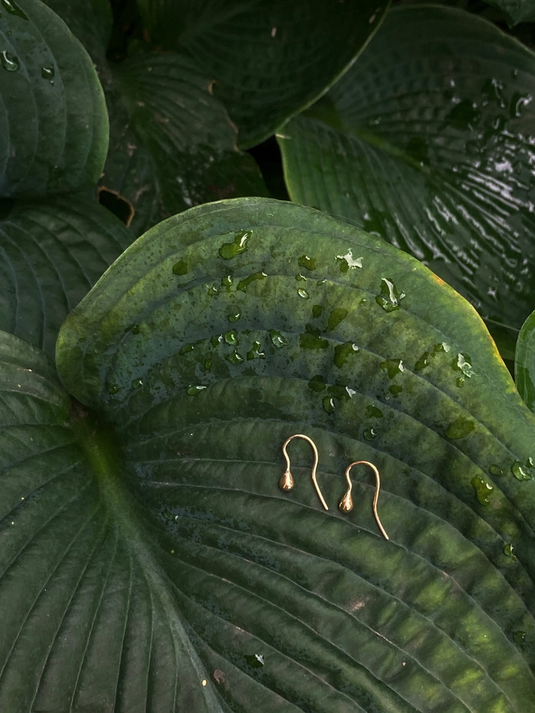 14k Dewdrop Earrings