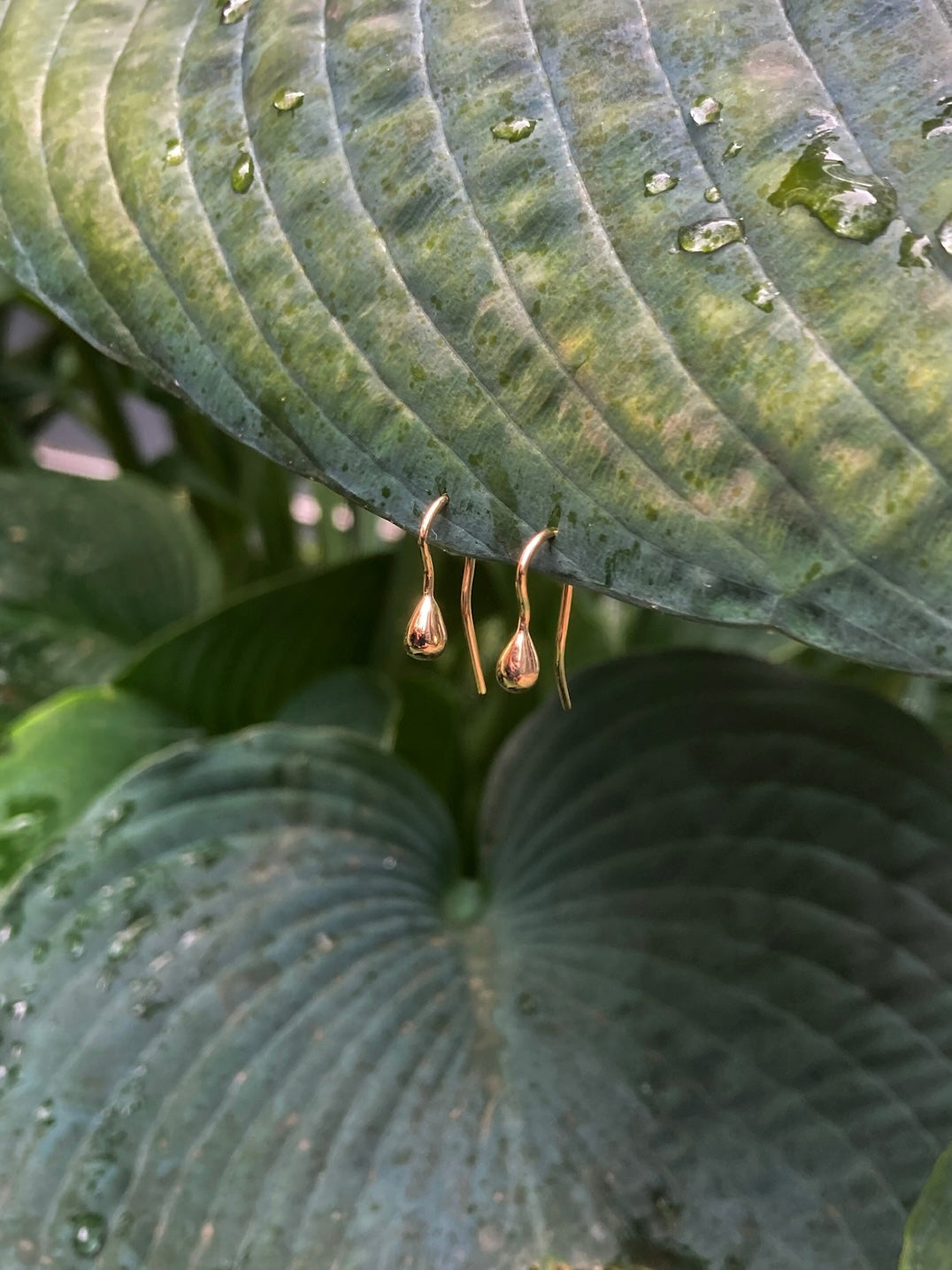 14k Dewdrop Earrings