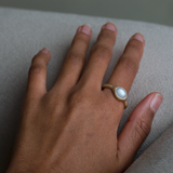Glacé - 14k White Moonstone Signet Ring