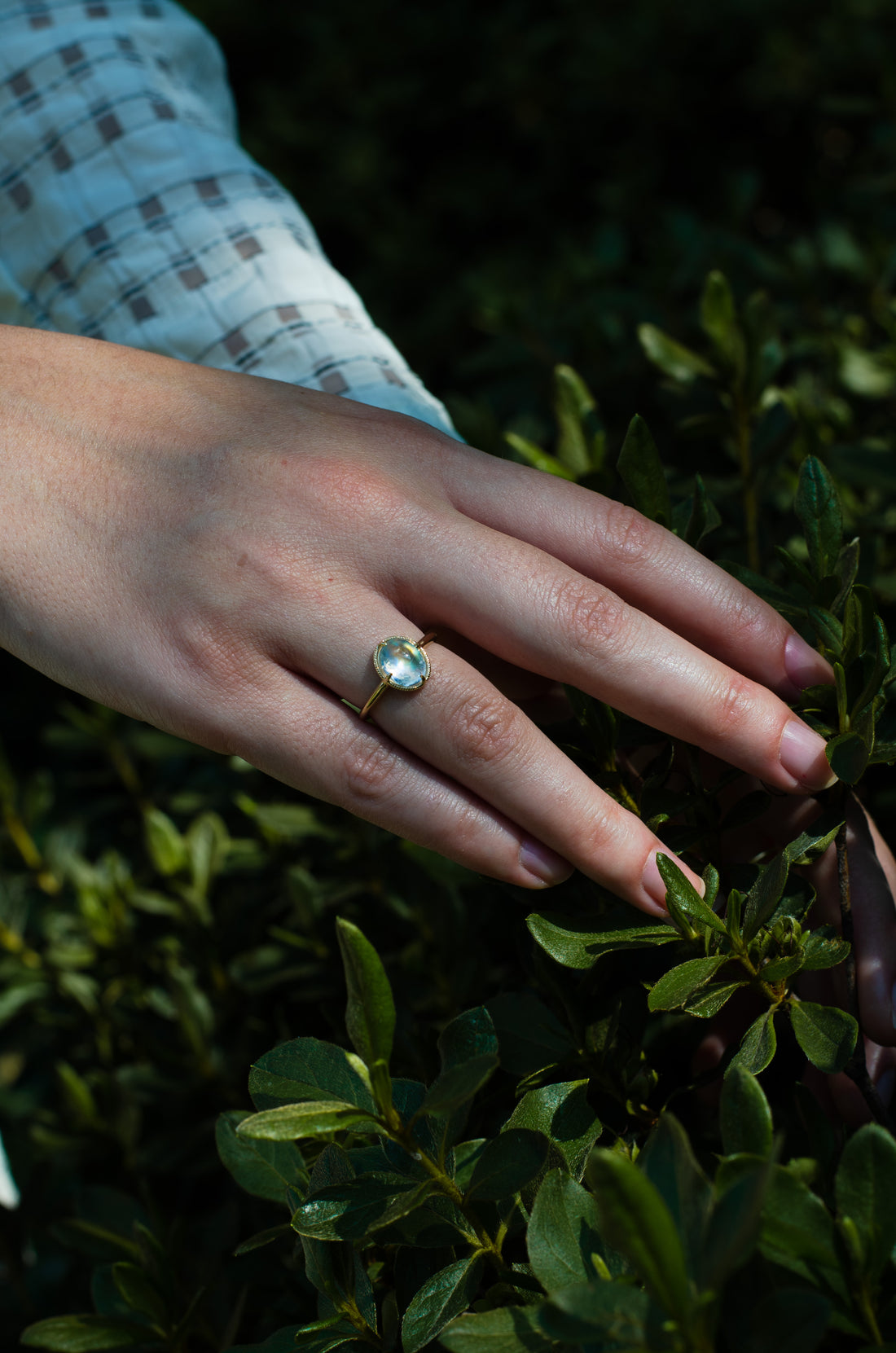 14k Rainbow Moonstone Ring with Milgrain