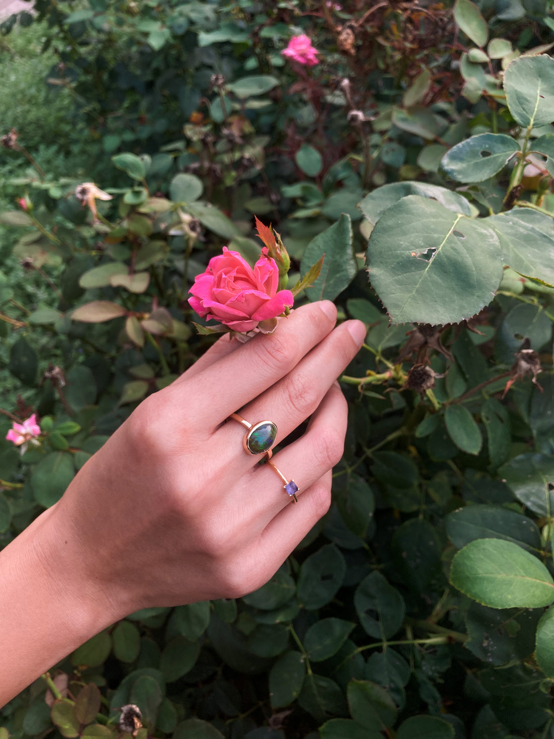 Dragon’s Egg - 14k Ethiopian Opal Ring